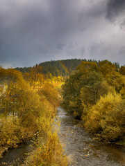 Sunny Autumn Carpathians with Puffy White Clouds