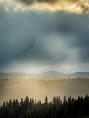 Sunny Autumn Carpathians with Puffy White Clouds
