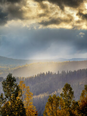 Sunny Autumn Carpathians with Puffy White Clouds