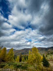 Sunny Autumn Carpathians with Puffy White Clouds