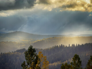 Sunny Autumn Carpathians with Puffy White Clouds