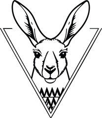 kangaroo icon silhouette vector illustration
