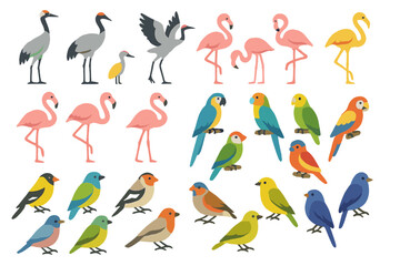 Fototapeta premium Birds in various colors and sizes standing together in a simple design on a white background