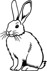 rabbit outline silhouette vector illustration
