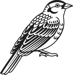 Sparrow Icon Silhouette in Details Vector Illustration  
