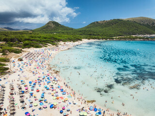 Aerial drone view of a crowded sandy beach with colorful umbrellas, turquoise sea, swimmers, green forest and mountains. Cala Agulla, Mallorca, Balearic Islands, Spain. Mediterranean summer vacation