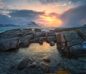 Fototapety na wymiar - Fototapeta24.pl