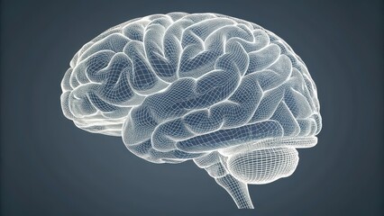 Wireframe brain model with mesh grid pattern on dark background