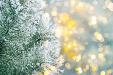 christmas tree branches