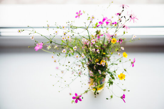 Bouquet of wild flowers in the window.