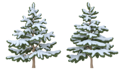 Snow Covered Pine Trees in Winter Season Isolated on White Background