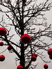 Rote Weihnachtskugel am Baum im Weihnachtsdorf