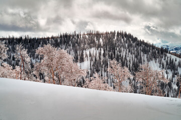 The Uinta and Wasatch Back Mountain Range with white snow covered mountain peaks icy trees and cloudy skies 