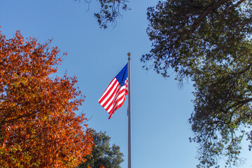 American flag waving under a clear blue sky framed by autumn foliage and evergreen branches capturing a patriotic outdoor scene with vibrant seasonal colors and natural beauty bathed in sunlight
