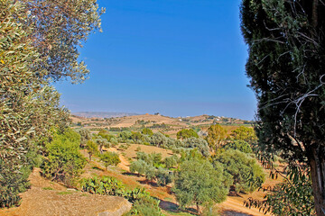 Desert landscape of the southern coast of Sicily in July