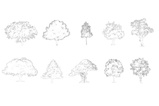 CAD Tree Block &ndash; 2D AutoCAD Tree Drawing for Architecture and Landscape Design