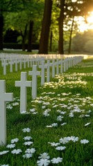 Naklejka premium White crosses and wooden tombstones mark the resting place of fallen soldiers in a serene American war cemetery in Normandy, France