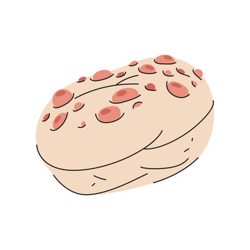 Common earthball or pigskin poison puffball. Vector mushroom or cartoon scleroderma citrinum icon. Forest wildlife flora and organic fungi. Field or woodland toadstool. Mycology and botany, biology.