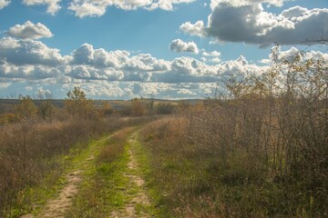autumn dirt road, lightly covered with green grass on a sunny day in late October