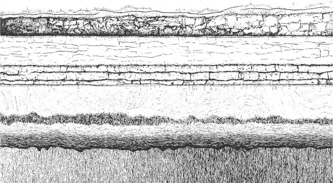 Detailed black and white illustration of folded geological strata and rock formations geology