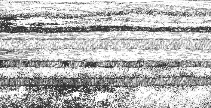 Detailed black and white illustration of folded geological strata and rock formations geology