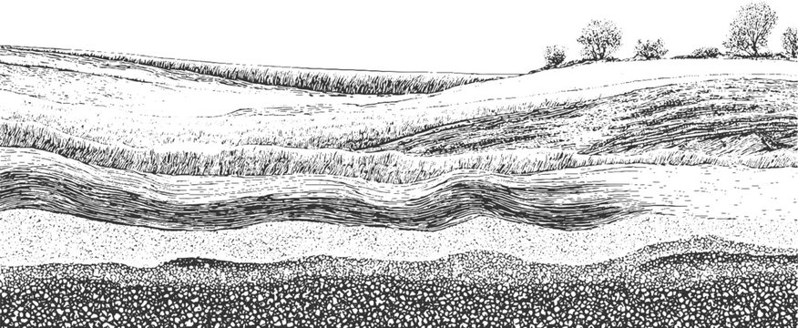 Detailed black and white illustration of folded geological strata and rock formations geology