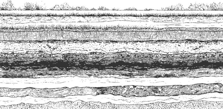 Detailed black and white illustration of folded geological strata and rock formations geology 