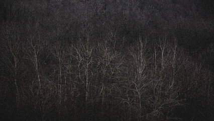 dark blue background