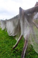 Drying Fishing Tackle on a Wooden Crossbar Rack in Summer Grass