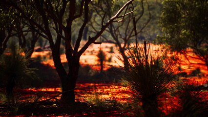Golden light bathes the rugged terrain as the sun sets over an arid landscape. Silhouettes of twisted trees and wild grasses create an enchanting atmosphere, showcasing the essence of nature.