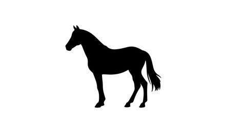 Fototapeta premium Elegant standing horse silhouette, sleek black graphic design