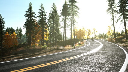 Fototapeta premium A winding road curves through a picturesque forest adorned with autumn foliage. Sunlight filters through the trees, creating a serene atmosphere perfect for a peaceful drive.
