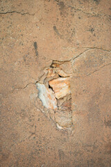 Grietas en el muro, texturas org&aacute;nicas