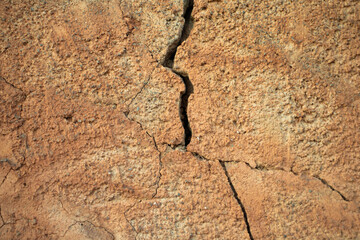 Grietas en el muro, texturas org&aacute;nicas