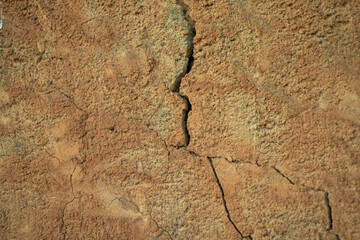 Grietas en el muro, texturas orgánicas