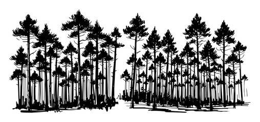 dense pine forest landscape monochrome vector silhouette
