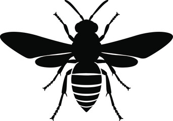 Obraz premium Wasp Silhouette