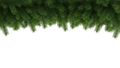 Christmas background with pine tree branches
