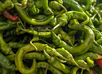 locally grown hot chiles in bright sun
