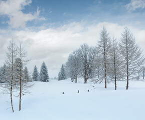 Winter mountain misty landscape