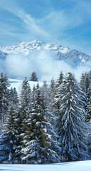 Winter mountain landscape (Austria, Bavaria).