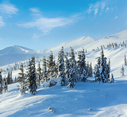 Icy snowy fir trees on winter slopel.