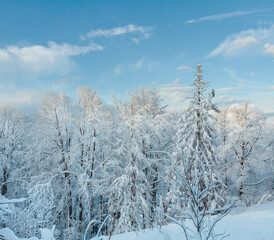 Winter Ukrainian Carpathian Mountains landscape.