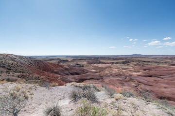 petrified forest national park scenic view