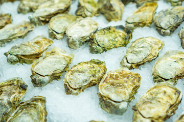 raw fresh oysters shellfish seafood display on crushed ice bed market counter restaurant event luxury dining close up overhead view concept of gourmet ingredients healthy food