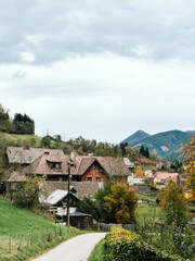Fototapeta premium Narrow, winding road leads through rolling green hills and colorful autumn foliage towards charming village nestled amidst majestic Slovenian Alps, creating serene and idyllic scene. Alpine village