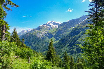 French mountain landscape with blue sky on a July Day 