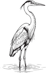 Naklejka premium Grey Heron Standing in Water: Detailed Wading Bird Line Art Drawing