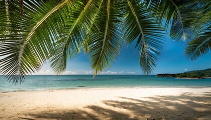 Obraz premium Green Leaves Of Palm Tree And Tropical Beach