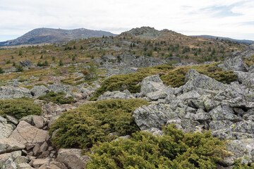 Landscape of Vitosha Mountain near Kamen Del peak, Bulgaria